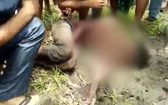 assam_video_647_050117090738