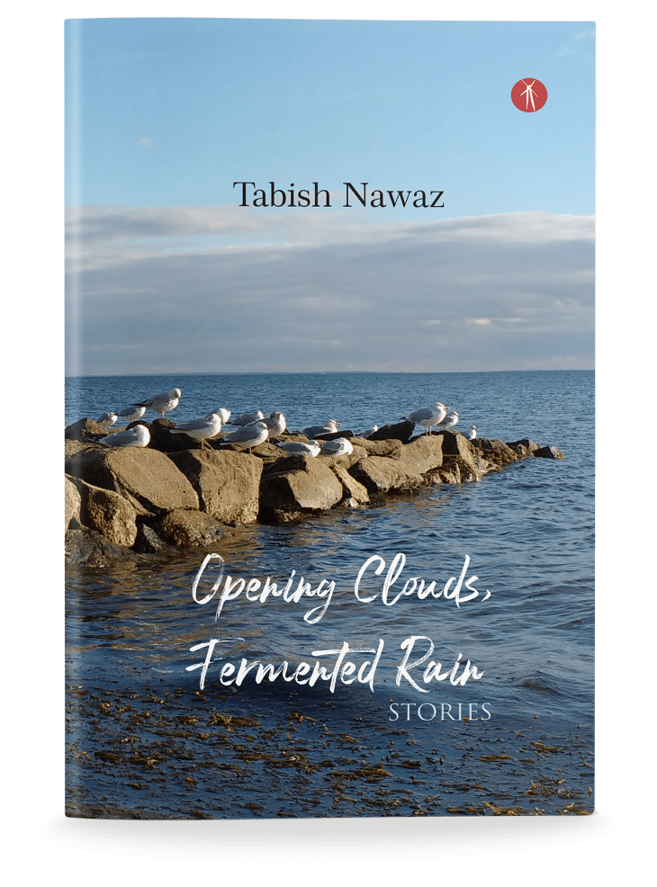 Book Cover Tabish Nawaz